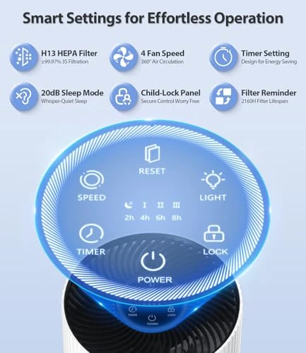 Large Room Air Purifier — Activated Carbon Air Purifiers, ECOSELF