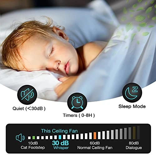 Smart Low Profile Ceiling Fan with Lights — Ceiling Fans, Hoenofly