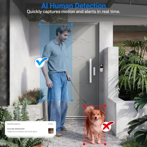 Wireless Doorbell Camera — Outdoor Security Cameras, MeshSear