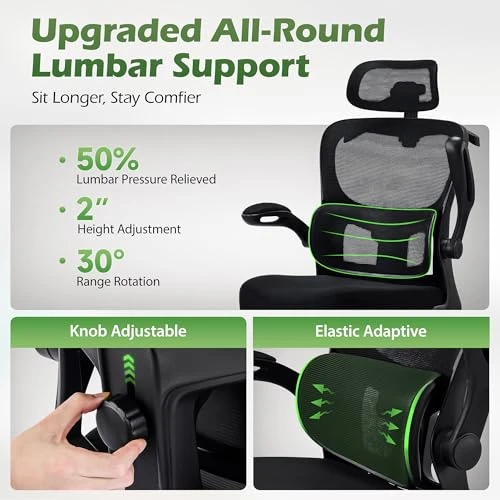 Ergonomic Desk Chair with Adjustable Lumbar Support and Headrest — Desk Chairs, AreShark