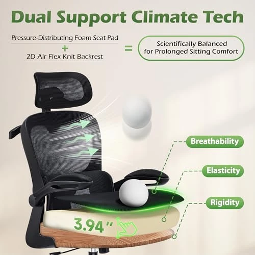 Ergonomic Desk Chair with Adjustable Lumbar Support and Headrest — Desk Chairs, AreShark