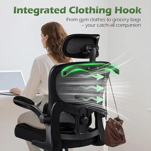 Ergonomic Desk Chair with Adjustable Lumbar Support and Headrest — Desk Chairs, AreShark