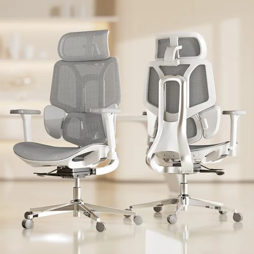 Ergonomic Office Chair — Desk Chairs, Hbada
