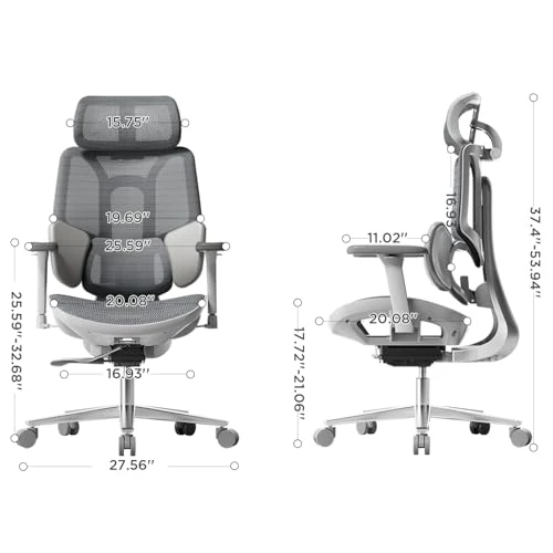 Ergonomic Office Chair — Desk Chairs, Hbada