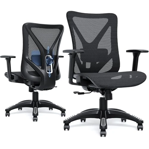 Ergonomic Office Chair — Desk Chairs, MOLENTS