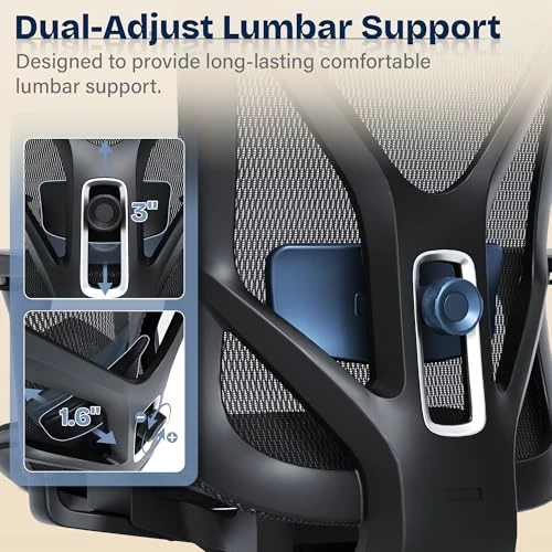 Ergonomic Office Chair — Desk Chairs, MOLENTS