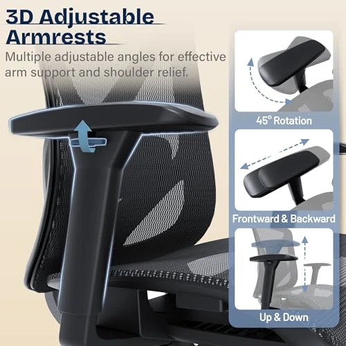 Ergonomic Office Chair — Desk Chairs, MOLENTS
