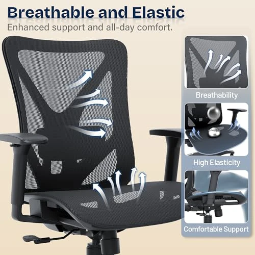 Ergonomic Office Chair — Desk Chairs, MOLENTS