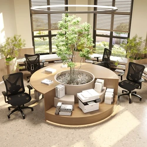 Ergonomic Office Chair — Desk Chairs, MOLENTS