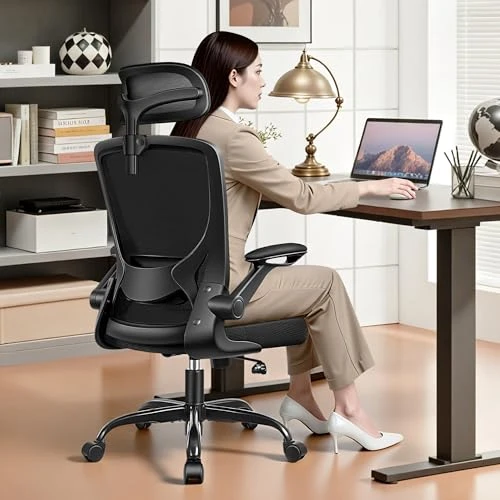 Ergonomic Office Desk Chair — Desk Chairs, BESTFAIR