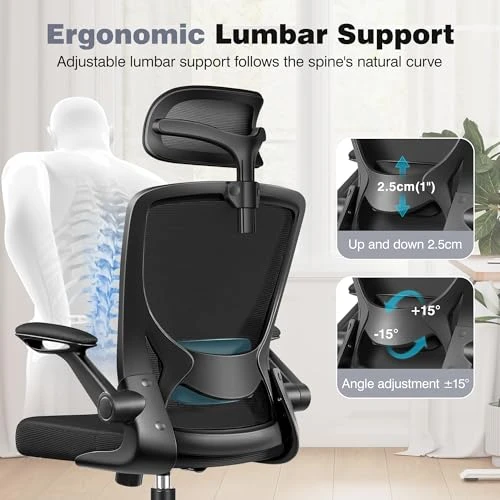 Ergonomic Office Desk Chair — Desk Chairs, BESTFAIR