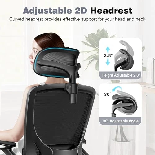 Ergonomic Office Desk Chair — Desk Chairs, BESTFAIR
