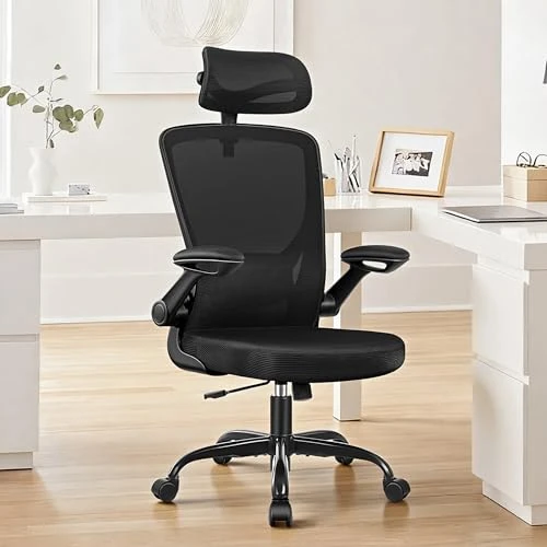 Ergonomic Office Desk Chair — Desk Chairs, BESTFAIR