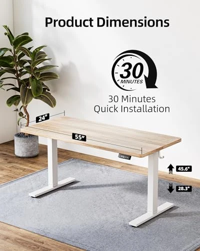 Height Adjustable Electric Standing Desk — Monitor Stands, TIQLAB