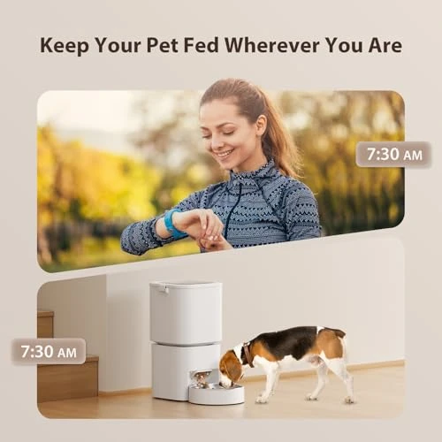 Automatic Cat Feeder — Automatic Feeders, DUDUPET