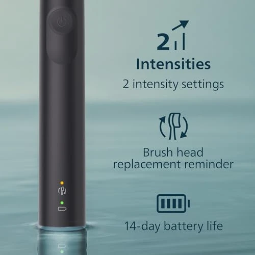 Electric Toothbrush — Traditional Toothbrushes, Philips