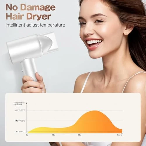 High-Speed Ionic Low Noise Blow Dryer with Brushless Motor — Dryers & Accessories, Labiim