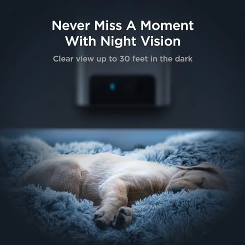 Interactive WiFi Pet Monitoring Camera with Treat Dispenser — Cameras & Monitors, Petcube