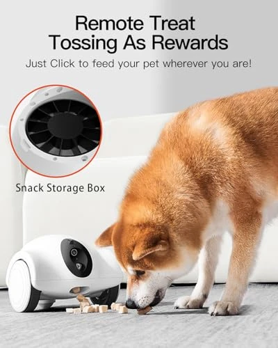 Pet Camera with Phone App — Cameras & Monitors, GULIGULI