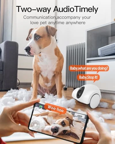 Pet Camera with Phone App — Cameras & Monitors, GULIGULI