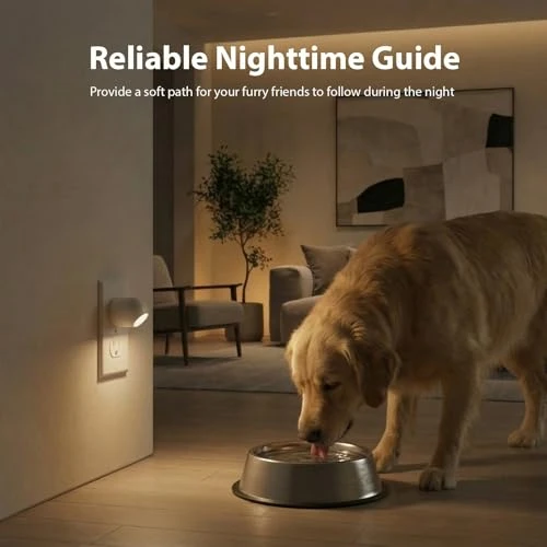 Night Light Plug-in Smart Sensor Directional Lamp with Rotating Head — Night Lights, WhilsTec