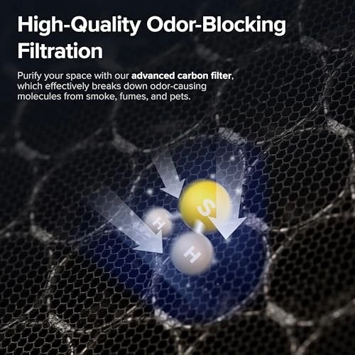 Air Purifier for Home Large Room — Activated Carbon Air Purifiers, LEVOIT