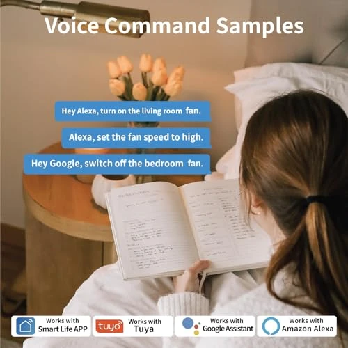 Ceiling Fan and Light Switch — Ceiling Fan Wall Controls, ZINDRA