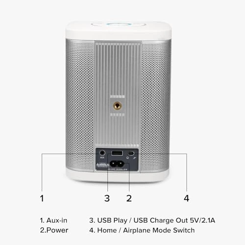 Concert Wi-Fi Bluetooth Smart Hi-Fi Speaker — Portable Audio, RIVA