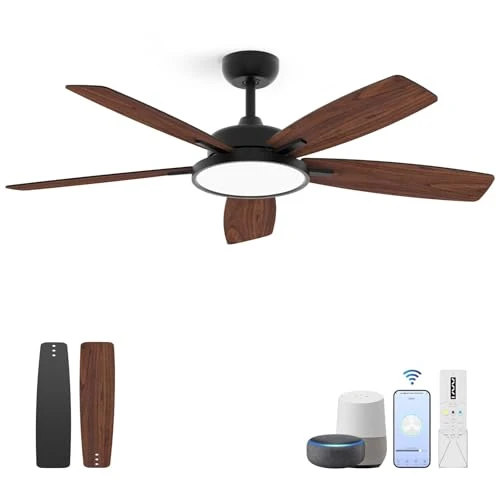 Smart Ceiling Fan with Light — Ceiling Fans & Accessories, Roomratv