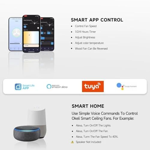 Smart Ceiling Fan with Light — Ceiling Fans & Accessories, Roomratv