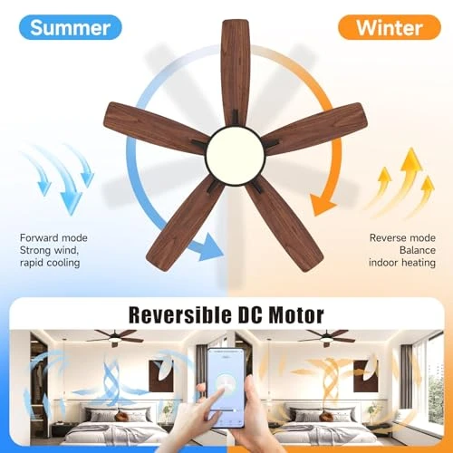 Smart Ceiling Fan with Light — Ceiling Fans & Accessories, Roomratv