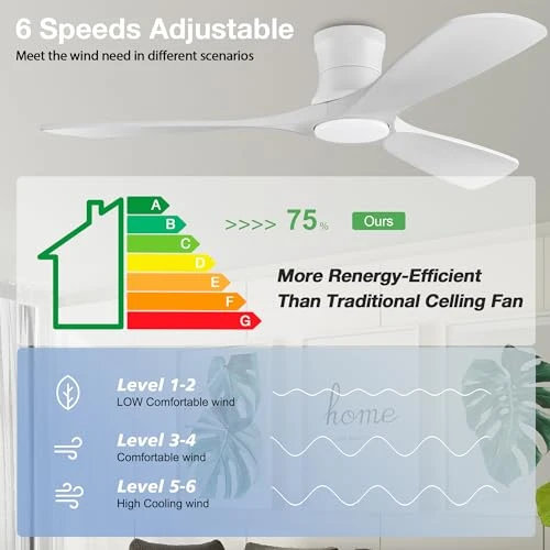 Smart Low Profile Ceiling Fan with Lights — Ceiling Fans & Accessories, Hoenofly