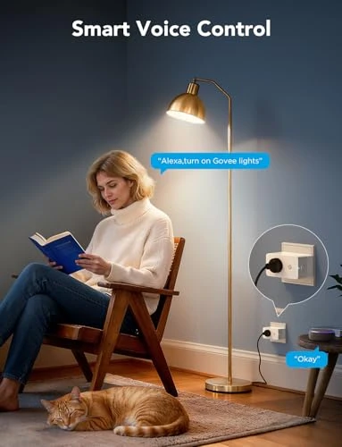 Smart Plug with Energy Monitoring — Smart Home Modules, Govee