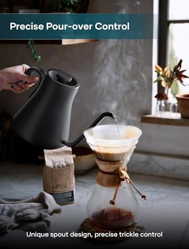 Electric Kettle with Precise Temperature Control — Kettles & Tea Machines, INTASTING