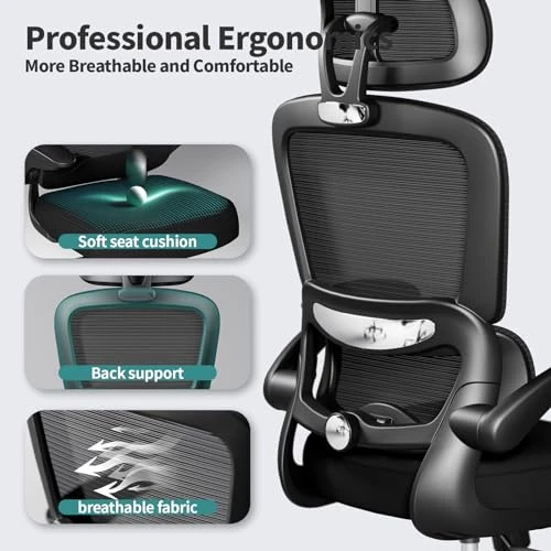 Ergonomic Desk Chair with Lumbar Support — Desk Chairs, TRALT