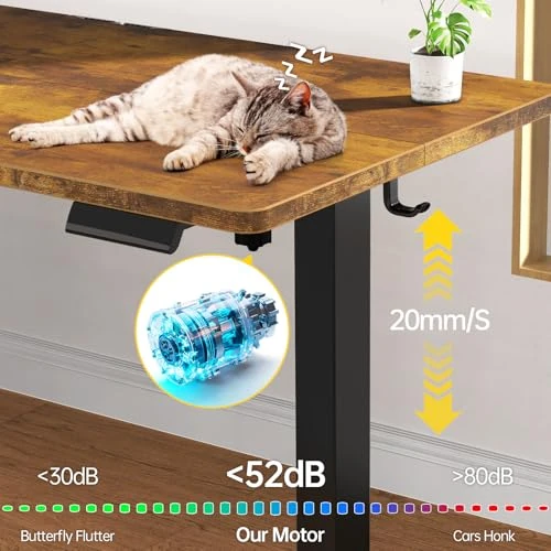 Adjustable Height Standing Desk with Wood Desktop — Mounts, Veken