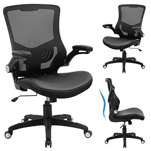 Ergonomic Desk Chair with Adjustable Lumbar Support and Flip-up Arms — Desk Chairs, X XISHE