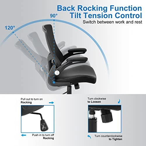 Ergonomic Desk Chair with Adjustable Lumbar Support and Flip-up Arms — Desk Chairs, X XISHE