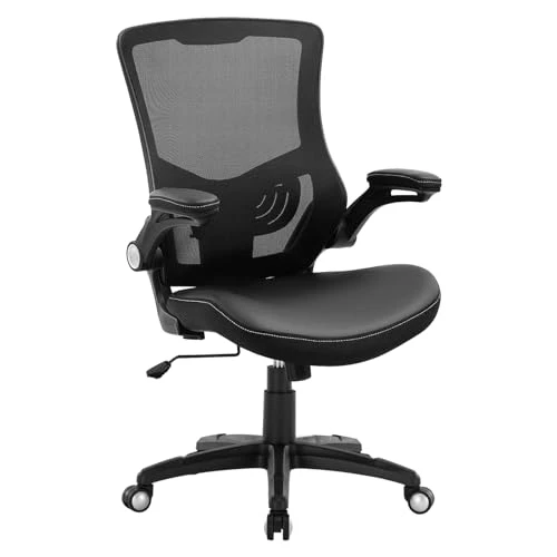 Ergonomic Desk Chair with Adjustable Lumbar Support and Flip-up Arms — Desk Chairs, X XISHE