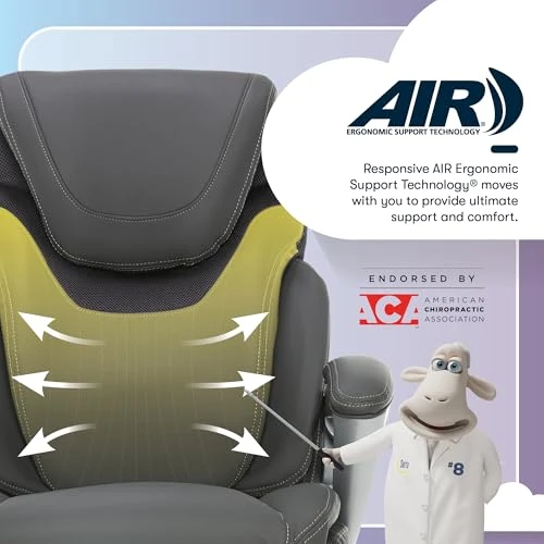 Executive Office Chair with Ergonomic Support and Adjustable Features — Desk Chairs, Serta