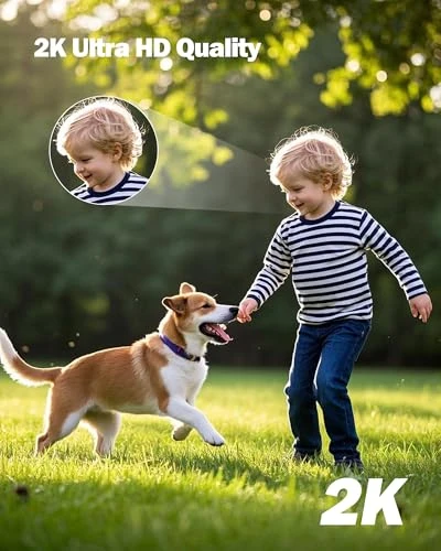 Outdoor Wired Security Camera — Dome Surveillance Cameras, TOAIOHO