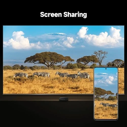 4K UHD Google TV Box with Dolby Vision Atmos & DTS:X — Ultra HD Media Players, Xiaomi