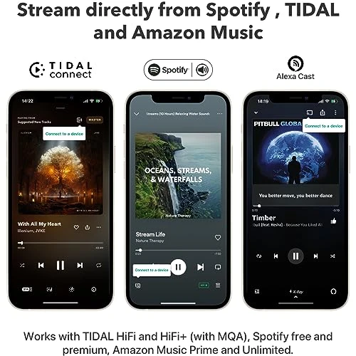 AirPlay 2 Receiver and Multiroom Streamer — Receivers & Adapters, WiiM