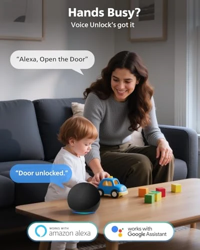 Built-in WiFi Smart Lock with Fingerprint, Keypad, and Voice Control — Electromagnetic Security Locks, Philips