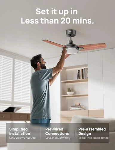 Smart Ceiling Fan with Lights — Ceiling Fans, Dreo