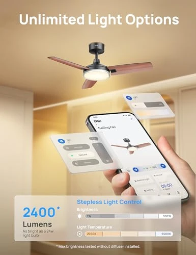 Smart Ceiling Fan with Lights — Ceiling Fans, Dreo