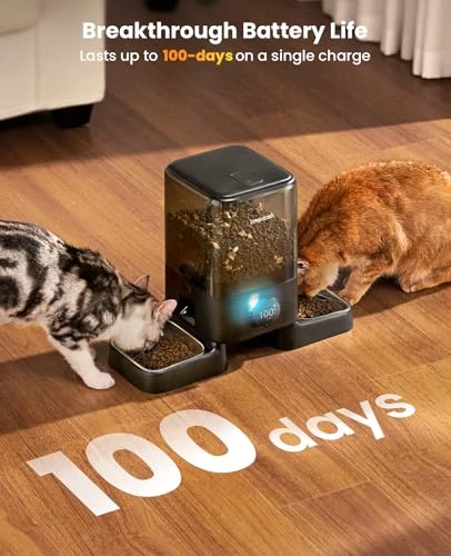 Cordless WiFi Automatic Cat Feeder for 2 Cats — Smart Pet Feeders, oneisall