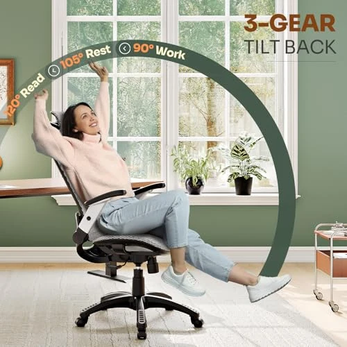 Ergonomic Office Chair with Headrest, Flip-Up Arms, Tilt Lock, and Wide Cushion — Desk Chairs, GABRYLLY