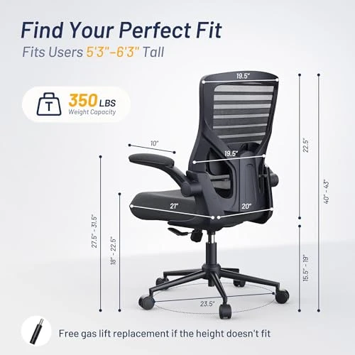 Office Desk Chair for Long Hours & Lower Back Pain Relief — Desk Chairs, QLTPLUS