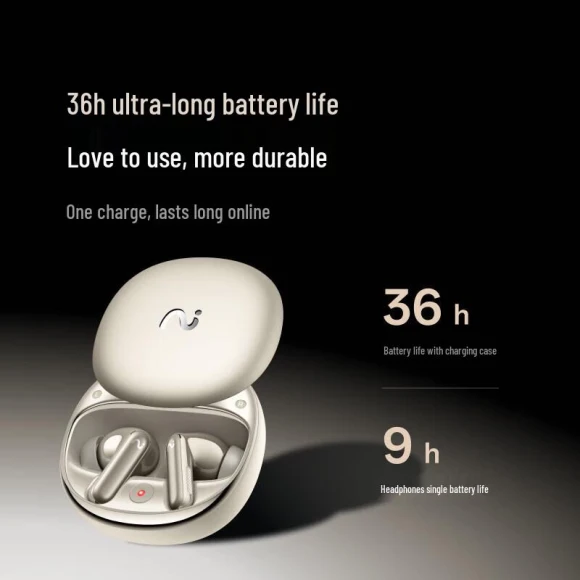 AI Noise-Cancelling Bluetooth In-Ear Earphones — In-Ear Headphones, iFLYTEK